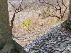 -皤滩古镇