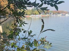 -东湖听涛景区