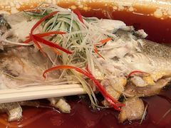 -百姓渔村(南中环店)
