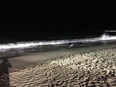 -黄金海岸