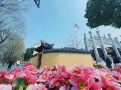 -鸣鹤古镇