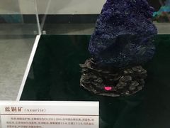 -中国第四纪冰川遗迹陈列馆