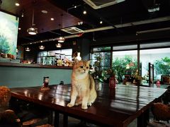 大堂-咖法森林·咖啡  酒吧(天河店)