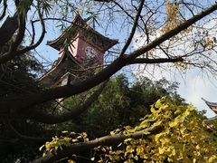 -四川大学(华西校区)