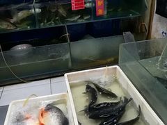 水产区-金宝生活市场(东五环店)