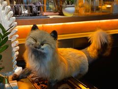 -杂咖zacup(领展中心城店)