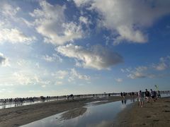 -红树林天天赶海