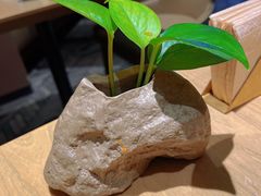 -枕水江南(铁西万象汇店)