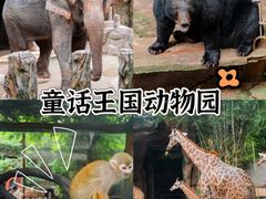 -长鹿旅游休博园