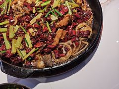 -老板恋上鱼(高新万达店)