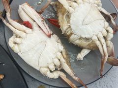 -仙螺岛海鲜自助餐厅(总店)