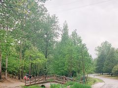 -白水寺森林公园