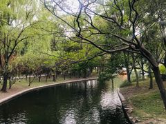 -共青国家森林公园-售票处