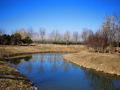 -东郊湿地公园