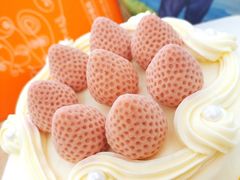 -壹点壹客·生日蛋糕(南山店)