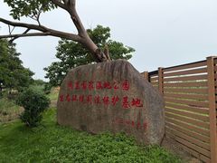 -同里国家湿地公园