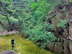 -沂蒙山旅游区云蒙景区(蒙山国家森林公园)