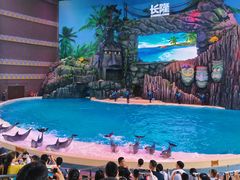 -珠海长隆海洋王国