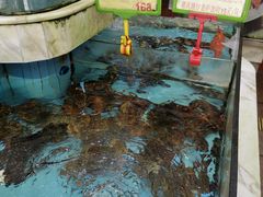 -盆满钵满·国家非遗传承(云台店)