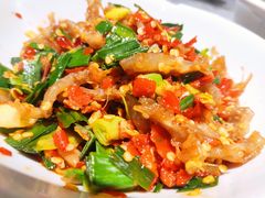 鸭掌筋-壹盏灯(惠农店)