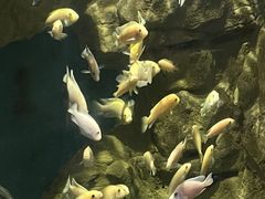 -西安曲江海洋极地公园