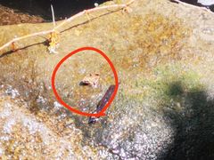 -碓臼峪自然风景区