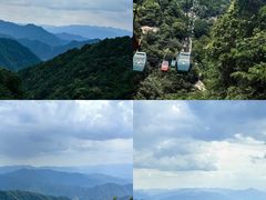 -王顺山国家森林公园