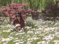 -西安浐灞国家湿地公园