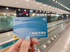 -龙阳路磁悬浮列车总站-停车场