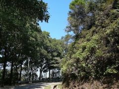 -风云岭森林公园