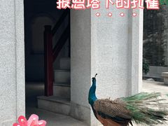 -国恩寺