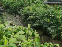 -南宫五洲植物乐园