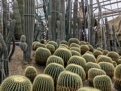 -南山植物园