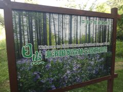 -日照海滨国家森林公园