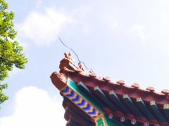 -珠海圆明新园