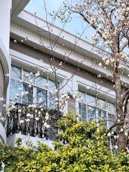 -杰爱月子护理中心