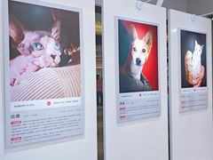 -小米之家(世博源店)