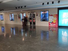 -天幕新彩云国际影城(激光巨幕店)