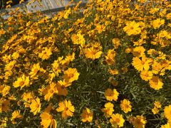 -燕儿岛山公园