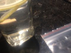 -海底捞火锅(德辉广场店)