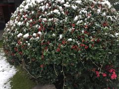 -上海外滩英迪格酒店