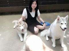 -TrueLove @ Neverland (Husky Cafe)