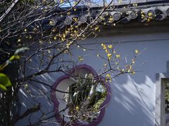 -无锡梅园公园