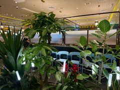 -润园四季椰子鸡火锅(南山海岸城店)