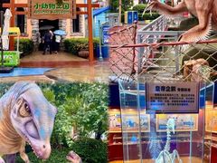 -海合安武汉极地海洋公园