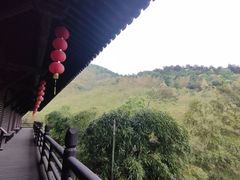 -大唐贡茶院