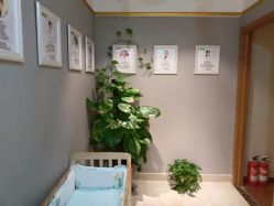 -Dr.林醫生产后修复·配方产康(南京江宁万达店)