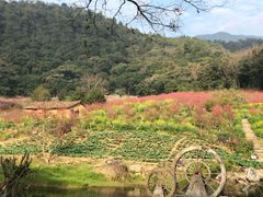 -广州市石门国家森林公园
