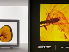 -广东省博物馆