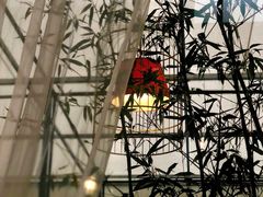 -新竹里馆·花园餐厅(兴苑路店)